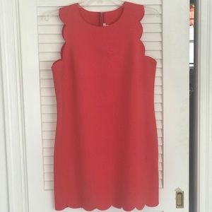 JCrew scalloped dress